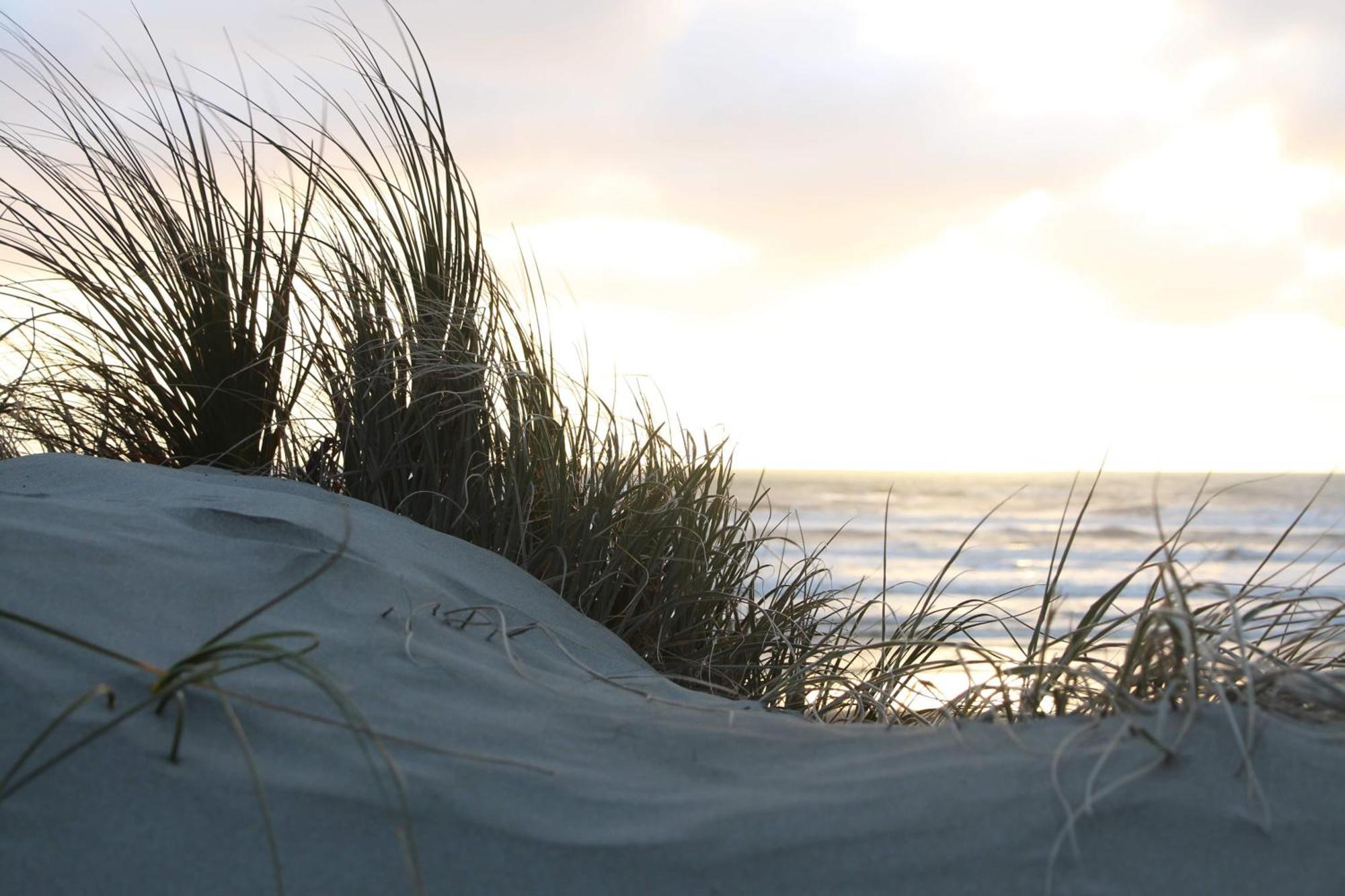 Foxton Beach Holiday Park ภายนอก รูปภาพ